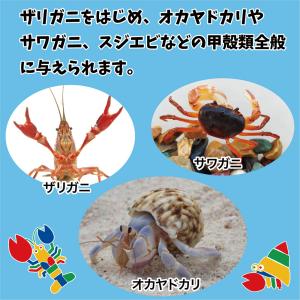 キョーリン ザリガニのエサ にごり・ニオイ対策...の詳細画像1