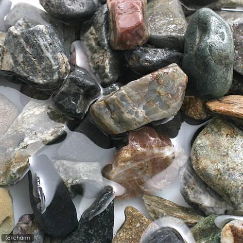 渓流石　Ｎｏ．８　約１０ｋｇ　粒径約２５〜４０ｍｍ　お一人様２点限り