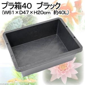 《終売》プラ箱４０　ブラック　（Ｗ６１×Ｄ４７×Ｈ２０ｃｍ　約４０Ｌ）　お一人様３点限り