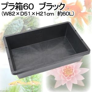 《終売》簡易梱包　プラ箱６０　ブラック　（Ｗ８２×Ｄ５１×Ｈ２１ｃｍ　約６０Ｌ）　お一人様２点限り