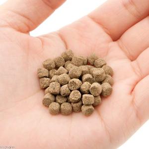 グロウ F(沈降性、ペレットタイプ) 330g...の詳細画像1