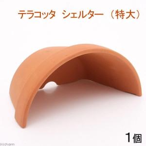 テラコッタシェルター 特大 1個 シェルター 素焼き