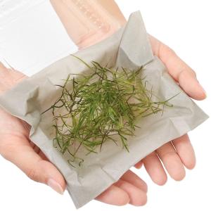 (水草)ナヤス(無農薬)(1パック)の詳細画像2