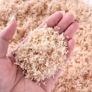 マルカン やさしい広葉樹マット 10L うさぎ...の詳細画像1