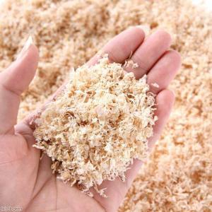 マルカン やさしい広葉樹マット 30L うさぎ...の詳細画像1