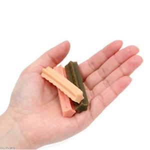 九州ペットフード オールインワン 90g 犬 おやつの詳細画像2