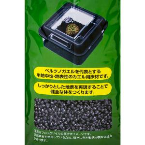 スドー フロッグソイル 2.5kg 爬虫類 底...の詳細画像3