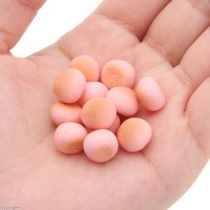 スドー おやつっ子倶楽部 小粒いちごボーロ 3...の詳細画像1