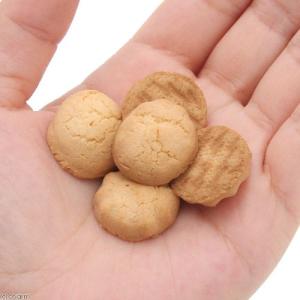 スドー ちょびっと 小粒ビスケット 23g う...の詳細画像1