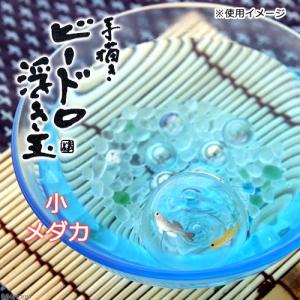 浮き玉 小 メダカ