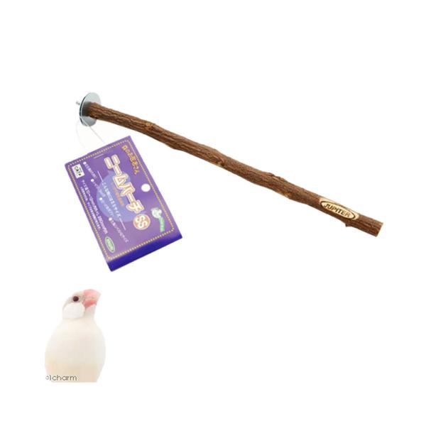 川井　ニームパーチ　ＳＳ