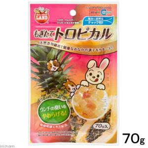 マルカン もぎたてトロピカル 70g うさぎ ...の詳細画像1