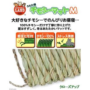 マルカン うたた寝チモシーマット M うさぎ ...の詳細画像2