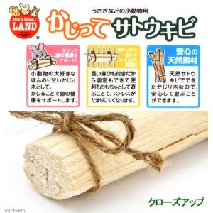 マルカン かじってサトウキビ 4本入 小動物 ...の詳細画像2