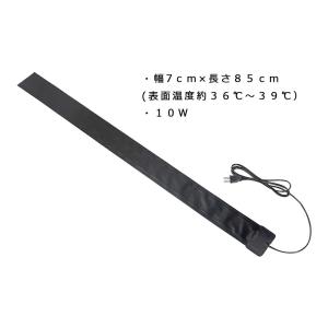 レップジャパン ナラベルト S 爬虫類 両生類...の詳細画像2