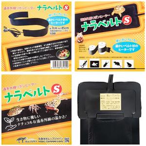 レップジャパン ナラベルト S 爬虫類 両生類...の詳細画像3