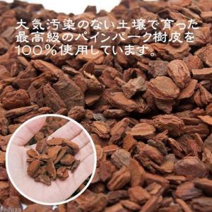 ポゴナ・クラブ 爬虫類牧場 バークチップ 4L...の詳細画像1