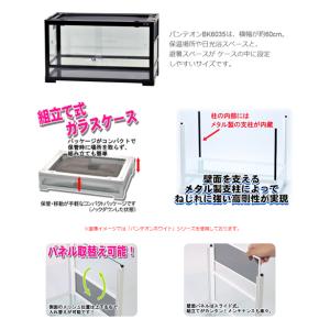 爬虫類ケージ 三晃商会 パンテオン ブラック ...の詳細画像1