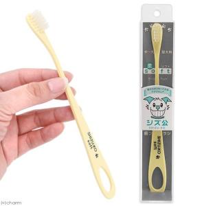 シズ公 歯ブラシ ラージヘッド ソフト 犬 デンタルケア 歯磨き