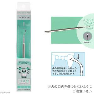 シズ公 スケーラー2 フラット 犬 デンタルケア 歯磨き