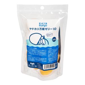 貝殻 シェルコレクション クレナイガンセキボラ（1個） : チャーム