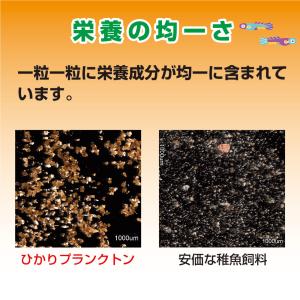 キョーリン ひかりプランクトン 後期 400g...の詳細画像2