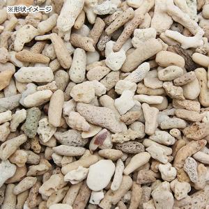 JUN プラチナリーフサンド No.15 粗目...の詳細画像1