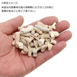 JUN プラチナリーフサンド No.15 粗目...の詳細画像2