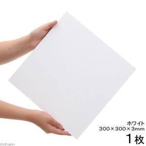 プラパール 30cmキューブ水槽用用マット ホワイト 30×30cm 1枚