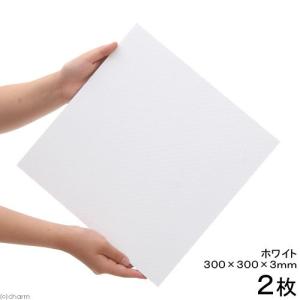 プラパール　６０ｃｍ水槽用マット　ホワイト　３０×３０ｃｍ　２枚｜chanet