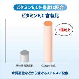 紫 キョーリン 咲ひかり金魚 色揚げ用 浮上 ...の詳細画像5