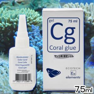 エコテックマリン　Ｃｏｒａｌ　Ｇｌｕｅ（コーラルグルー）７５ｍｌ　サンゴ　接着剤　接着｜チャーム charm ヤフー店