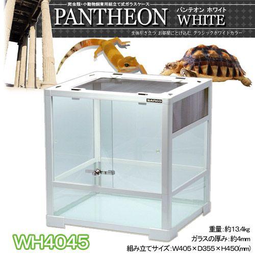 爬虫類ケージ　三晃商会　パンテオン　ホワイト　ＷＨ４０４５（４０．５×３５．５×４５ｃｍ）　お一人様...