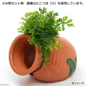 スドー タコツボ(中) E-8 水槽用オブジェ...の詳細画像3