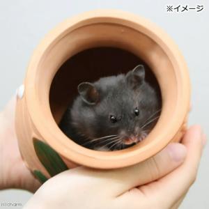 スドー タコツボ(中) E-8 水槽用オブジェ...の詳細画像4