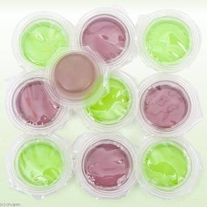 マルカン 鈴虫の夏野菜ゼリー 7g×10個入 ...の詳細画像1