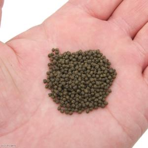 キョーリン プロリア 色揚 200g 特小粒 ...の詳細画像1