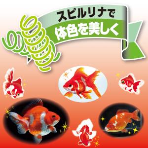 キョーリン プロリア 色揚 200g 特小粒 ...の詳細画像2
