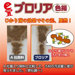 キョーリン プロリア 色揚 200g 特小粒 ...の詳細画像3