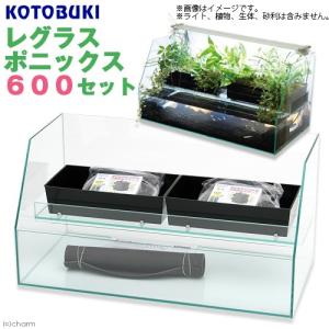 コトブキ工芸 水槽の商品一覧 熱帯魚 アクアリウム用品 ペット用品 生き物 通販 Yahoo ショッピング