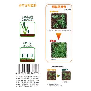 カミハタ 水草専用肥料OKOSHI(おこし)1...の詳細画像3