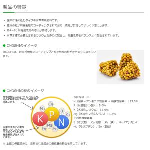 カミハタ 水草専用肥料OKOSHI(おこし)1...の詳細画像4
