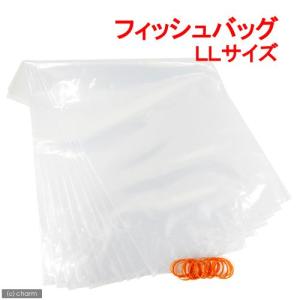 フィッシュバッグ　ＬＬサイズ（袋１０枚＋輪ゴム２２本）｜chanet