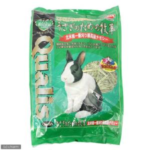 アラタ 特選チモシー ロングタイプ 550g 小動物 牧草 フード