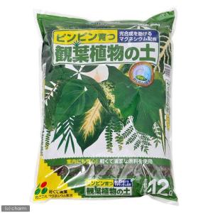 培養土　花ごころ　観葉植物の土　１２Ｌ　お一人様６点限り｜チャーム charm ヤフー店