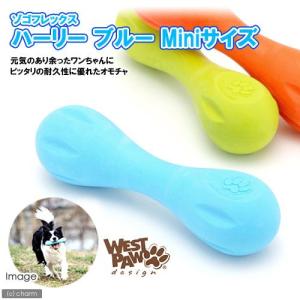 Hartz（ハーツ） デンタル ボーン Mサイズ 獣医師との共同開発 犬