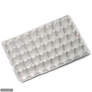 紙製卵トレー 45×29cm 3枚セット 昆虫...の詳細画像1