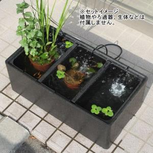 メダカの2世帯住宅 3ルーム工作キット(未完成...の詳細画像2