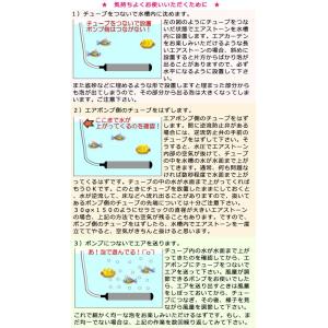 いぶきエアストーン セラミックエアストーン 丸...の詳細画像2