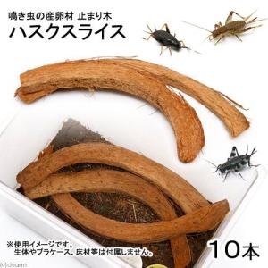 鳴き虫の産卵材 とまり木 ハスクスライス 10本...の商品画像